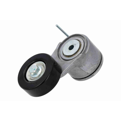 Tendicinghia, Cinghia Poly-V