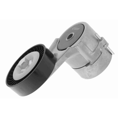 Tendicinghia, Cinghia Poly-V