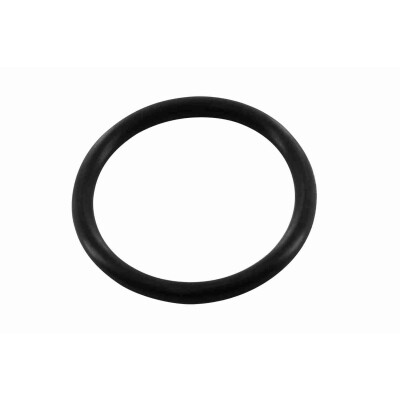 Anello di tenuta, vite di scarico olio