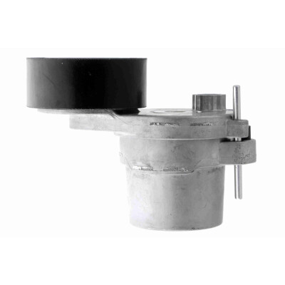 Tendicinghia, Cinghia Poly-V
