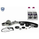 Pompa acqua + Kit cinghie dentate