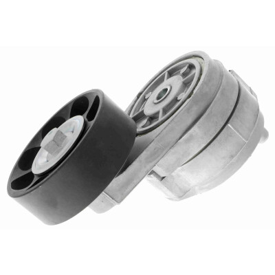 Tendicinghia, Cinghia Poly-V