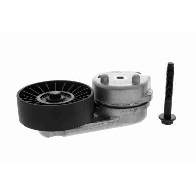 Tendicinghia, Cinghia Poly-V
