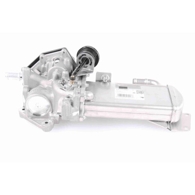 Modulo EGR