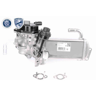 Modulo EGR