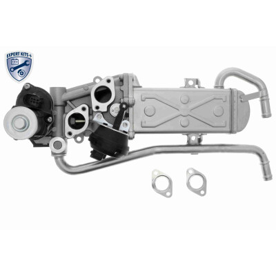 Modulo EGR