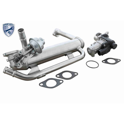 Modulo EGR
