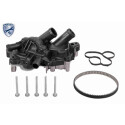 Pompa acqua + Kit cinghie dentate
