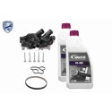 Pompa acqua + Kit cinghie dentate