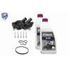 Pompa acqua + Kit cinghie dentate