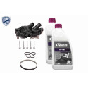 Pompa acqua + Kit cinghie dentate