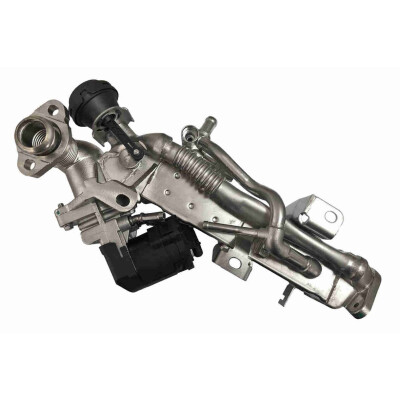 Modulo EGR