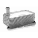Radiatore olio, Olio motore