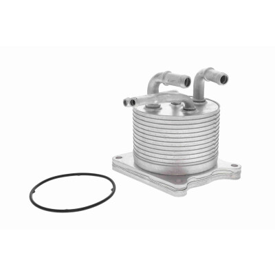 Radiatore olio, Cambio automatico