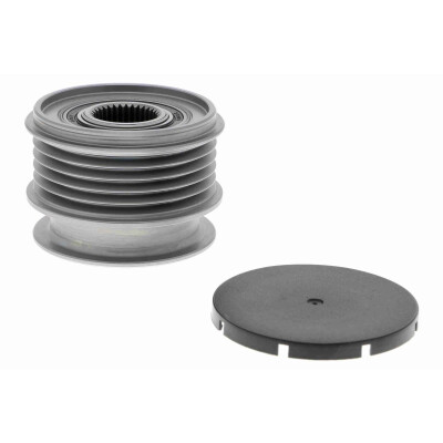 Dispositivo ruota libera alternatore