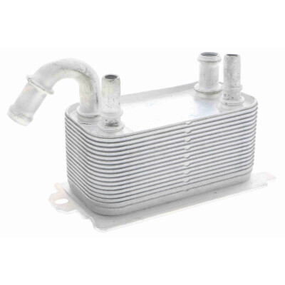 Radiatore olio, Olio motore