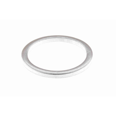 Anello di tenuta, vite di scarico olio