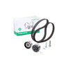 Kit cinghie dentate INA 530 0491 10