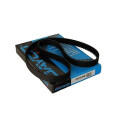 Cinghia di distribuzione DAYCO 94840