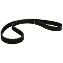 Cinghia di distribuzione DAYCO 94982