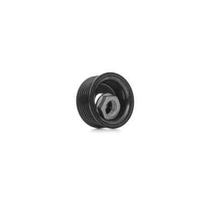 Puleggia, alternatore VALEO 593519