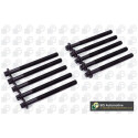 Set di bulloni per testata cilindrica GLASER T80363-00
