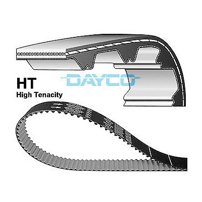 Cinghia di distribuzione DAYCO 94979