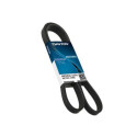 Cinghia di distribuzione DAYCO 94773