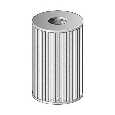 Filtro olio ufficiale FA1001