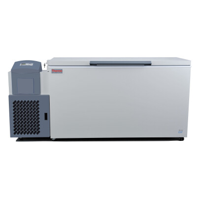 Filtro carburante ufficiale FF9017