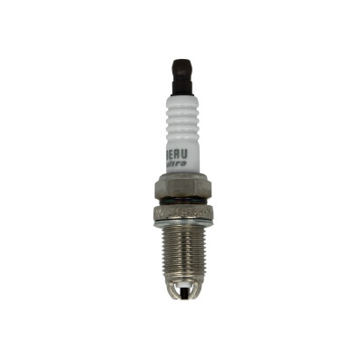 Candela BorgWarner (BERU Z90
