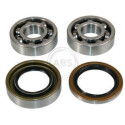 Kit cuscinetto ruota