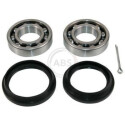 Kit cuscinetto ruota