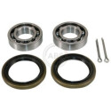Kit cuscinetto ruota
