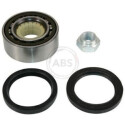 Kit cuscinetto ruota