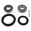 Kit cuscinetto ruota