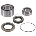 Kit cuscinetto ruota