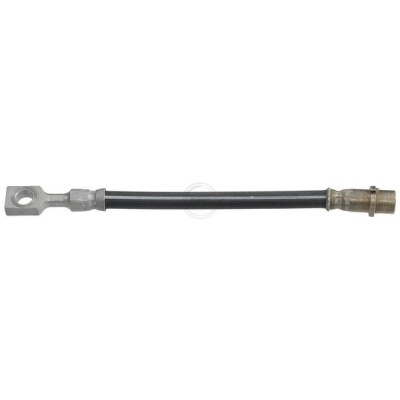 Flessibile del freno A.B.S. SL 5095
