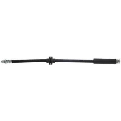 Flessibile del freno A.B.S. SL 6037