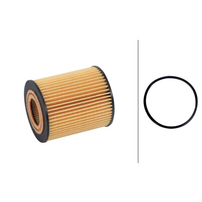 Filtro olio
