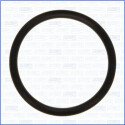 Guarnizione, condotto d. refrigerante