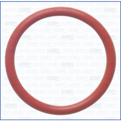 Guarnizione, condotto d. refrigerante