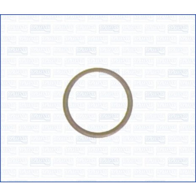 Anello di tenuta, vite di scarico olio