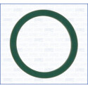 Guarnizione, pompa olio