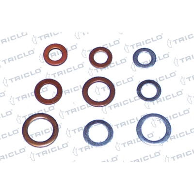 Anello di tenuta, vite di scarico olio