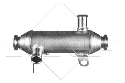 Radiatore, Ricircolo gas scarico