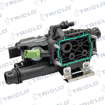 Carter del termostato