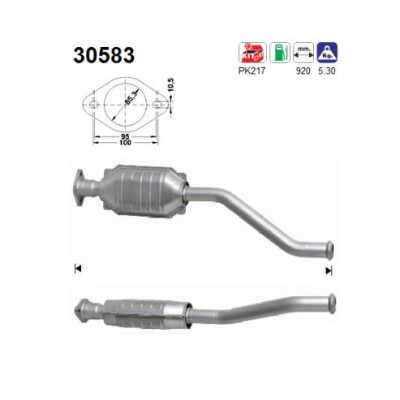 Catalizzatore 30583 AS