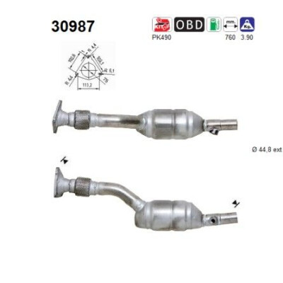 Catalizzatore 30987 AS