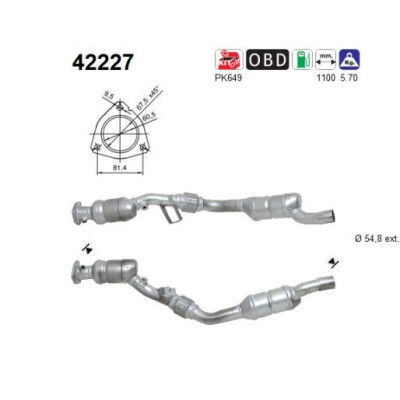 Catalizzatore 42227 AS